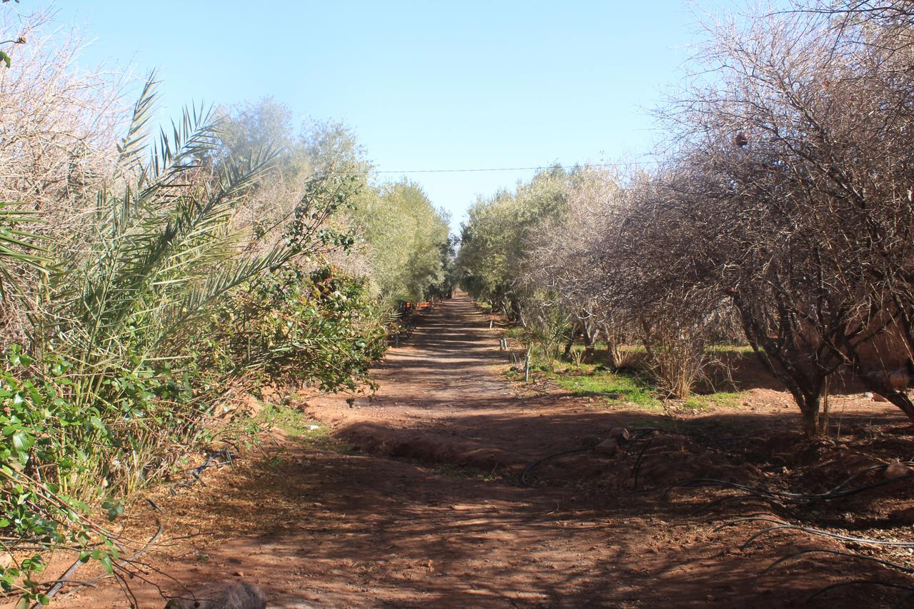 אוארצאצטה Dar Alfourssane Ferme D'Hote מראה חיצוני תמונה